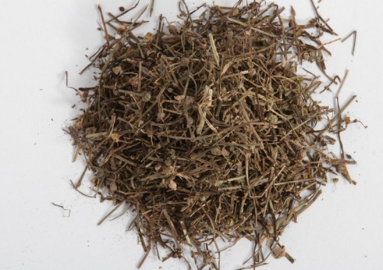 蛇舌草 蛇舌草介绍及传说:蛇舌草能显著增强机体的免疫能力和抗肿瘤作用