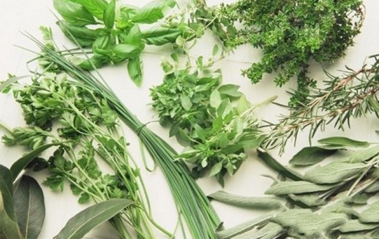 常见的香草种类：常见香草的图文介绍