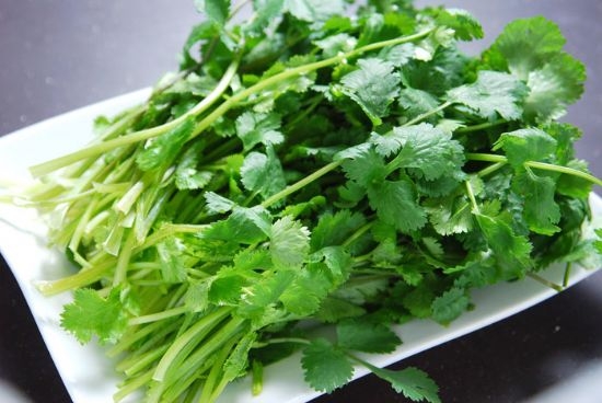 常见的香草种类：常见香草的图文介绍