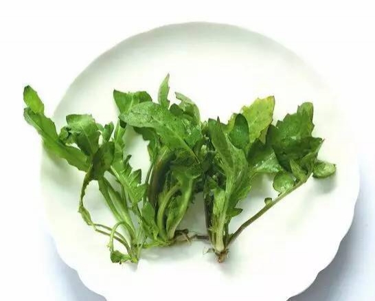 超好吃!4月不得不吃的时令菜(含菜谱) 超好吃!4月不得不吃的时令菜含菜谱