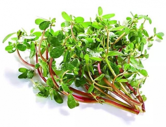 超好吃!4月不得不吃的时令菜(含菜谱) 超好吃!4月不得不吃的时令菜含菜谱