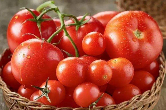 西红柿的密度是多少?