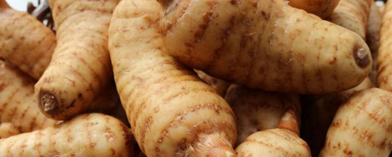 天麻无土栽培办法