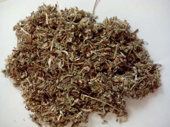 翻白草的功效与作用：脾胃虚寒者忌用