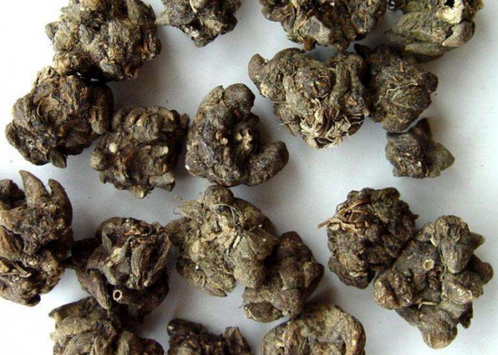 猫爪草的功效与作用：服药期间,禁辛辣和发性物