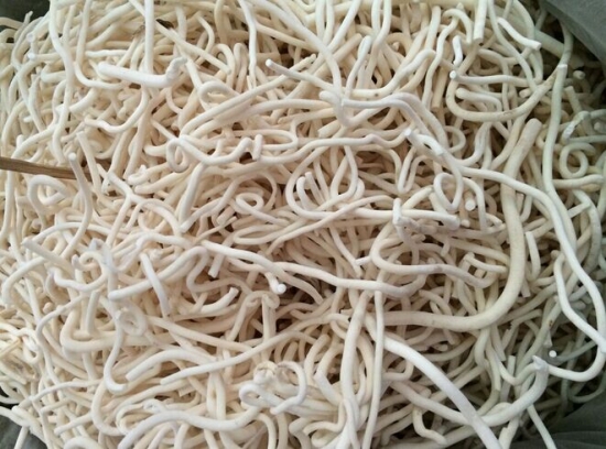 通草的功效与作用：内无湿热及孕妇慎服