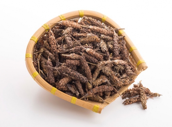 夏枯草干草中药 夏枯草简介