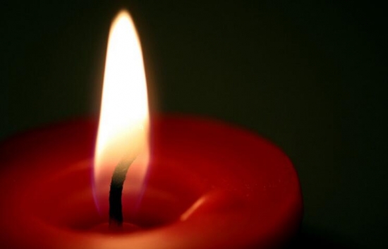 灯心草别名：灯芯草也叫水灯花，是多年生草本水生植物