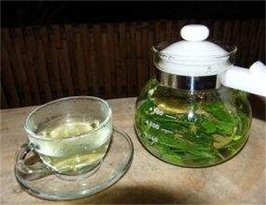 新鲜车前草如何泡水喝，煮水简单效果好