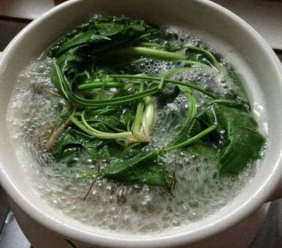 新鲜车前草如何泡水喝，煮水简单效果好