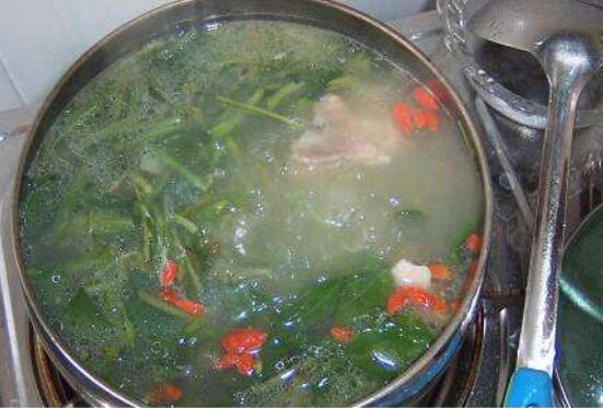 车前草如何吃最好，十种最好吃的车前草做法