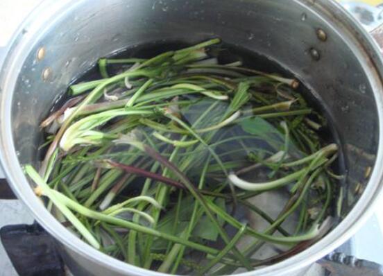 车前草如何吃最好，十种最好吃的车前草做法