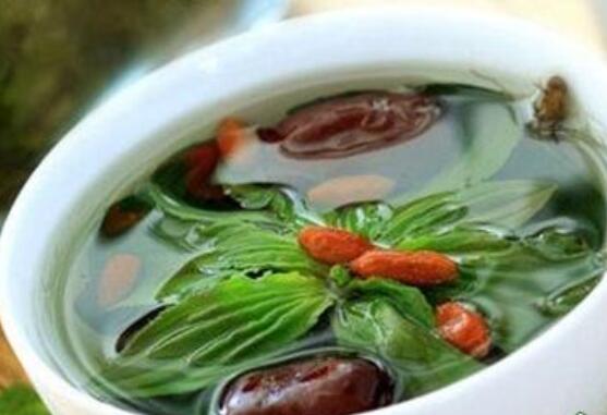 车前草如何吃最好，十种最好吃的车前草做法