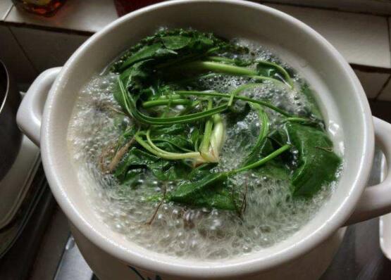 车前草如何吃最好，十种最好吃的车前草做法