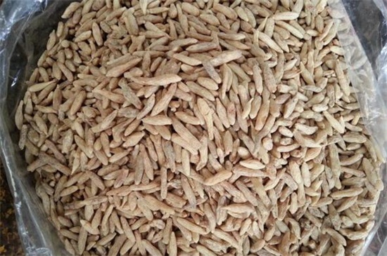 麦冬价格是多少钱一斤，大约在20～60元钱一斤