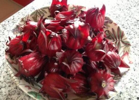 洛神花的功效与作用，可美容养颜养胃健胃(10大益处)