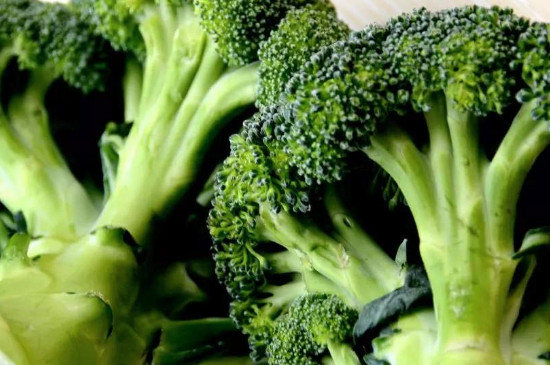 西兰花如何打侧芽