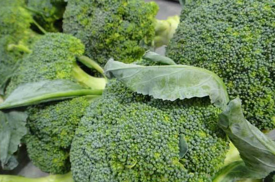 西兰花如何打侧芽