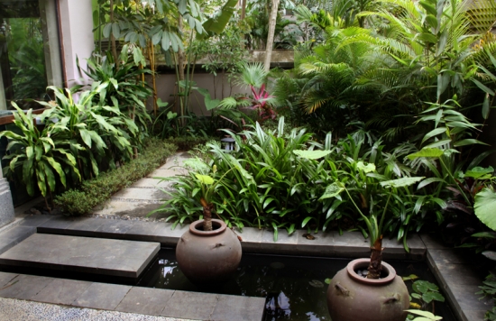 庭院盆景 盆景越冬的办法