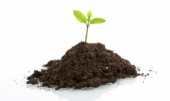 养花用什么土：不同的花要配不同属性的土壤