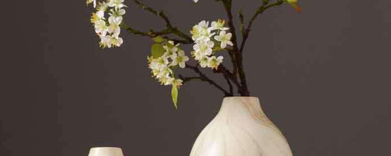 花瓶里的花如何养