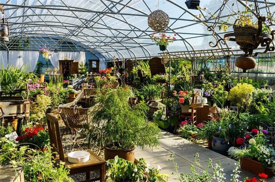 北京地区冬季阳光房养花攻略，掌握四个要点轻松养殖