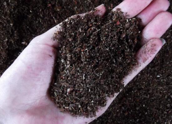 如何判断松树皮腐熟了，从颜色气味和手感三者辨别