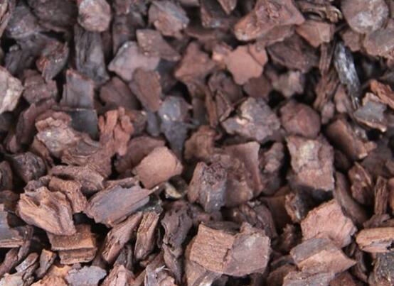 如何判断松树皮腐熟了，从颜色气味和手感三者辨别