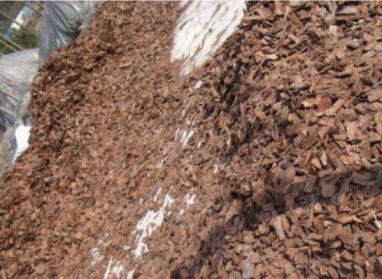 如何判断松树皮腐熟了，从颜色气味和手感三者辨别