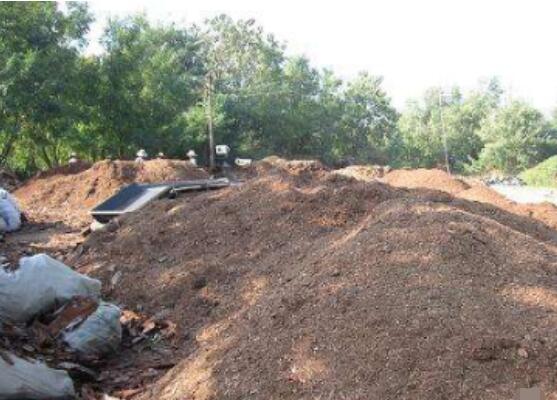 如何判断松树皮腐熟了，从颜色气味和手感三者辨别