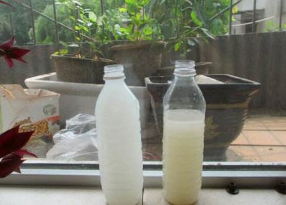 7天简易自制有机肥料，盘点10种最有效最简单的自制肥