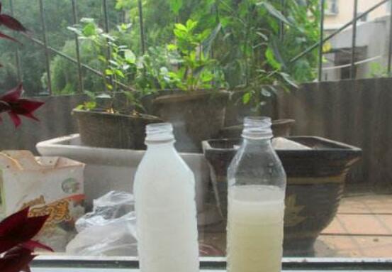 自制花肥最简单的办法，10种简单又有效的养花肥秘方