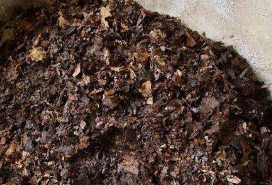 自制花肥最简单的办法，10种简单又有效的养花肥秘方