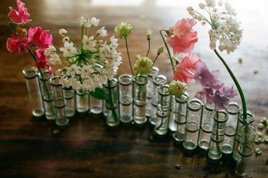 玻璃花瓶插什么花好看，用玻璃瓶插野花有别样风情