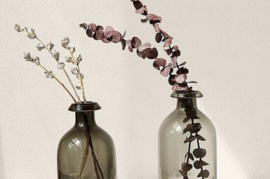 玻璃花瓶插什么花好看，用玻璃瓶插野花有别样风情