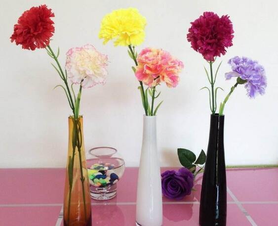 高的花瓶适合养什么花，最适合大气高贵有逼格的花