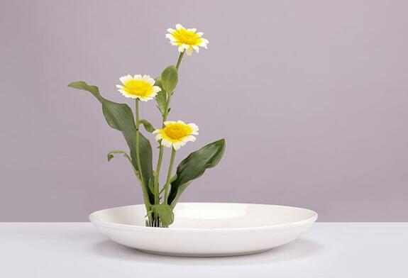 花瓶口特大如何插花,大口花瓶插花好看只需一卷胶带