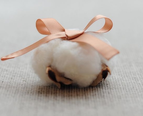 小棉花装饰 棉花叶子变黄:棉花叶子发黄原因及处理办法