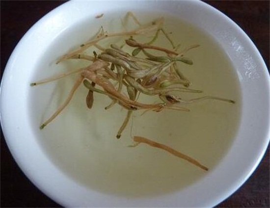 金银花茶可以祛痘吗，金银花茶祛痘的操作办法