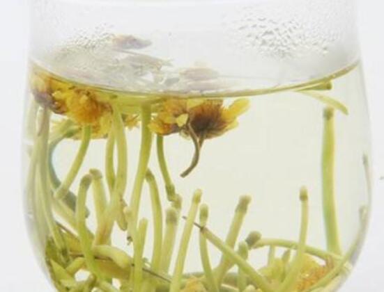 金银花茶如何泡，金银花蜂蜜水最简单/清热解毒又润肺通便