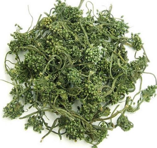 人参花的功效与作用：要留意饮用时间