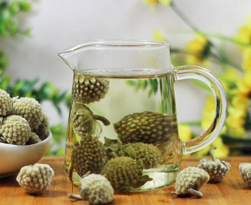 绿萝花茶的功效和作用，绿萝花茶可以长期喝吗