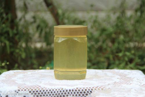 槐花如何吃，烹煮煎炸样样可行