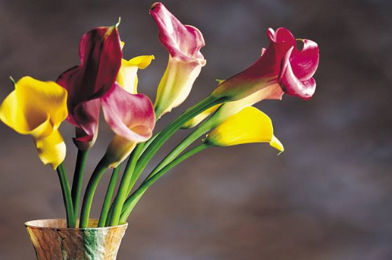 三角形插花的特点