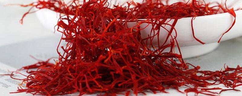 如何辨别藏红花的真假