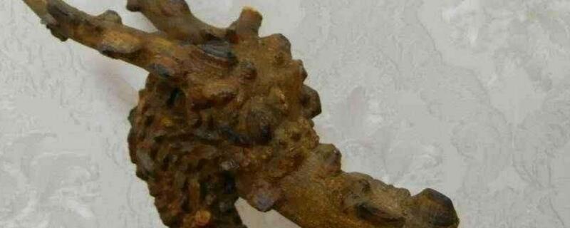 花椒树文玩如何处理