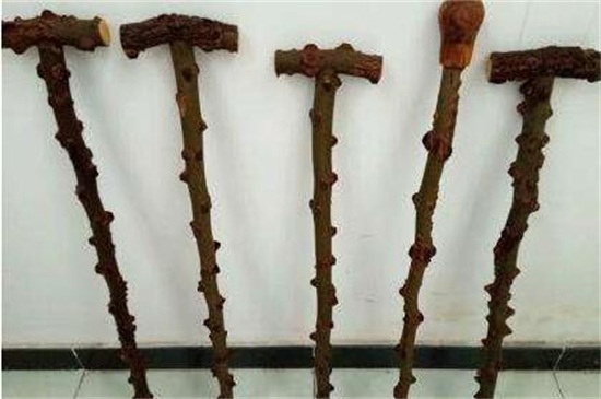 花椒树文玩如何处理