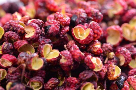 花椒种子如何育苗