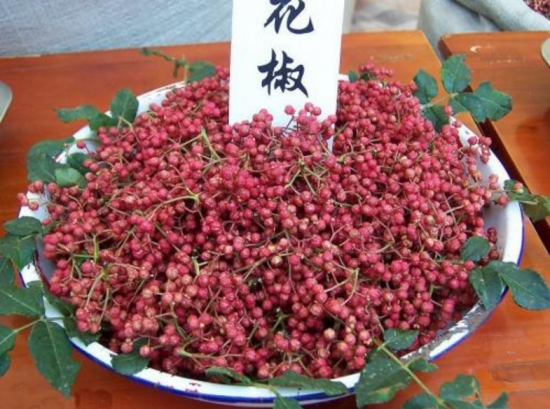 花椒和麻椒有什么区别：在味觉方面麻椒味道比花椒更重，而且特别的麻