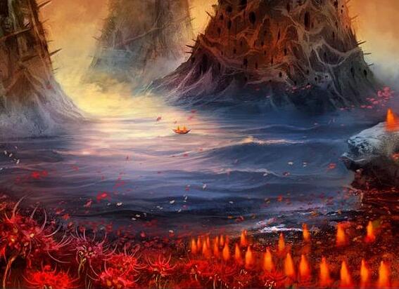 彼岸花碰到血会如何,彼岸花为何不能养